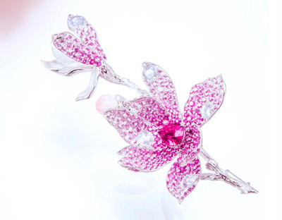 中國珠寶玉石首飾行業(yè)協(xié)會